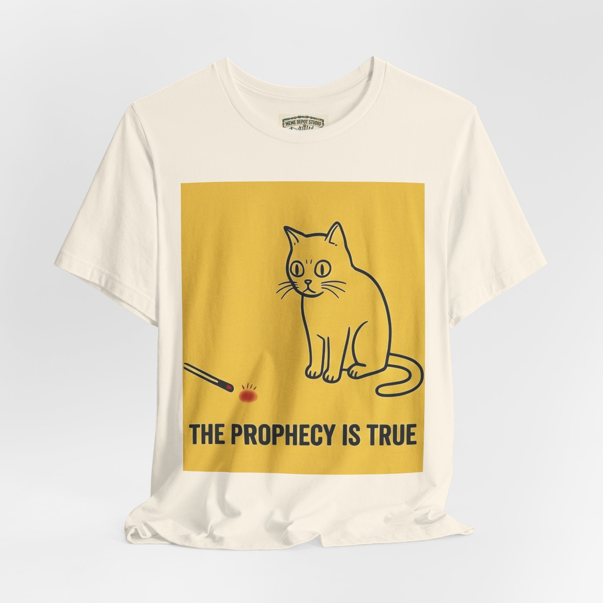 Funny Cat Quote T-Shirt