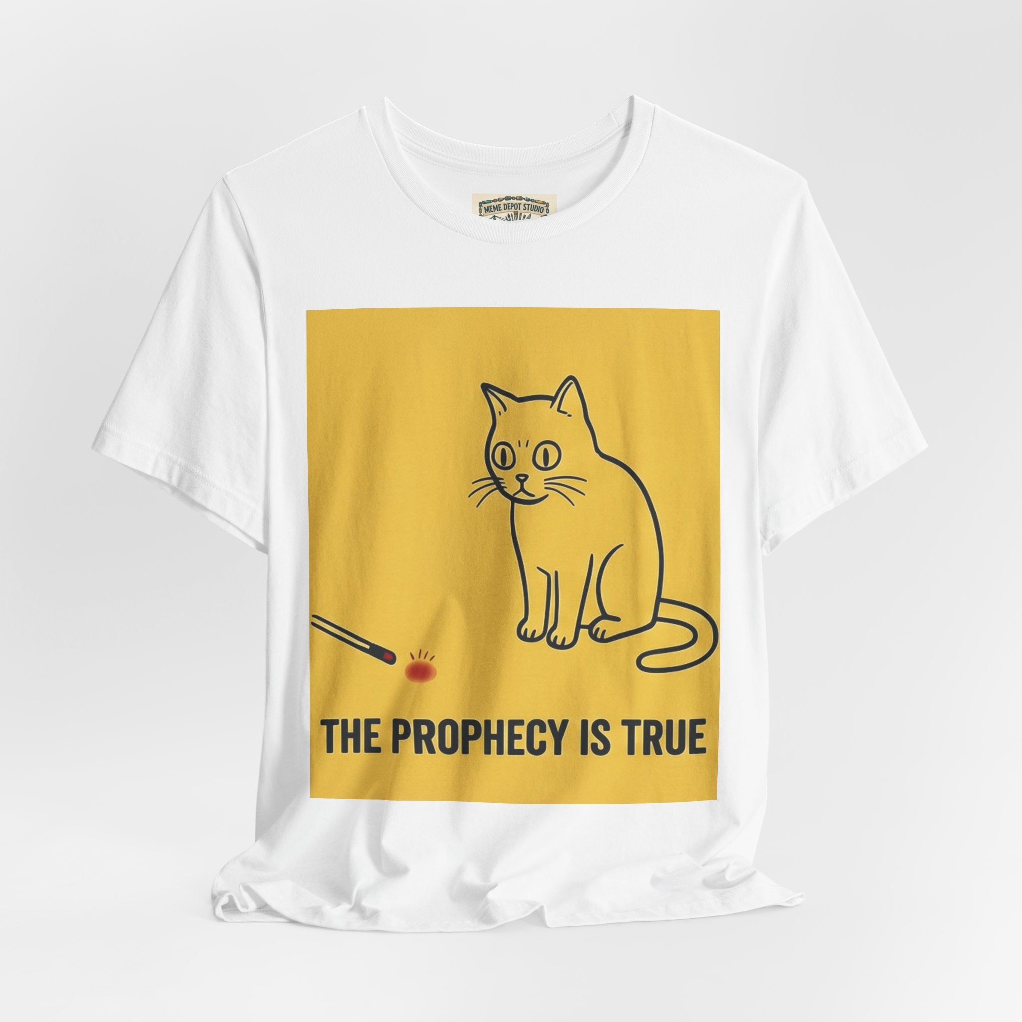 Funny Cat Quote T-Shirt