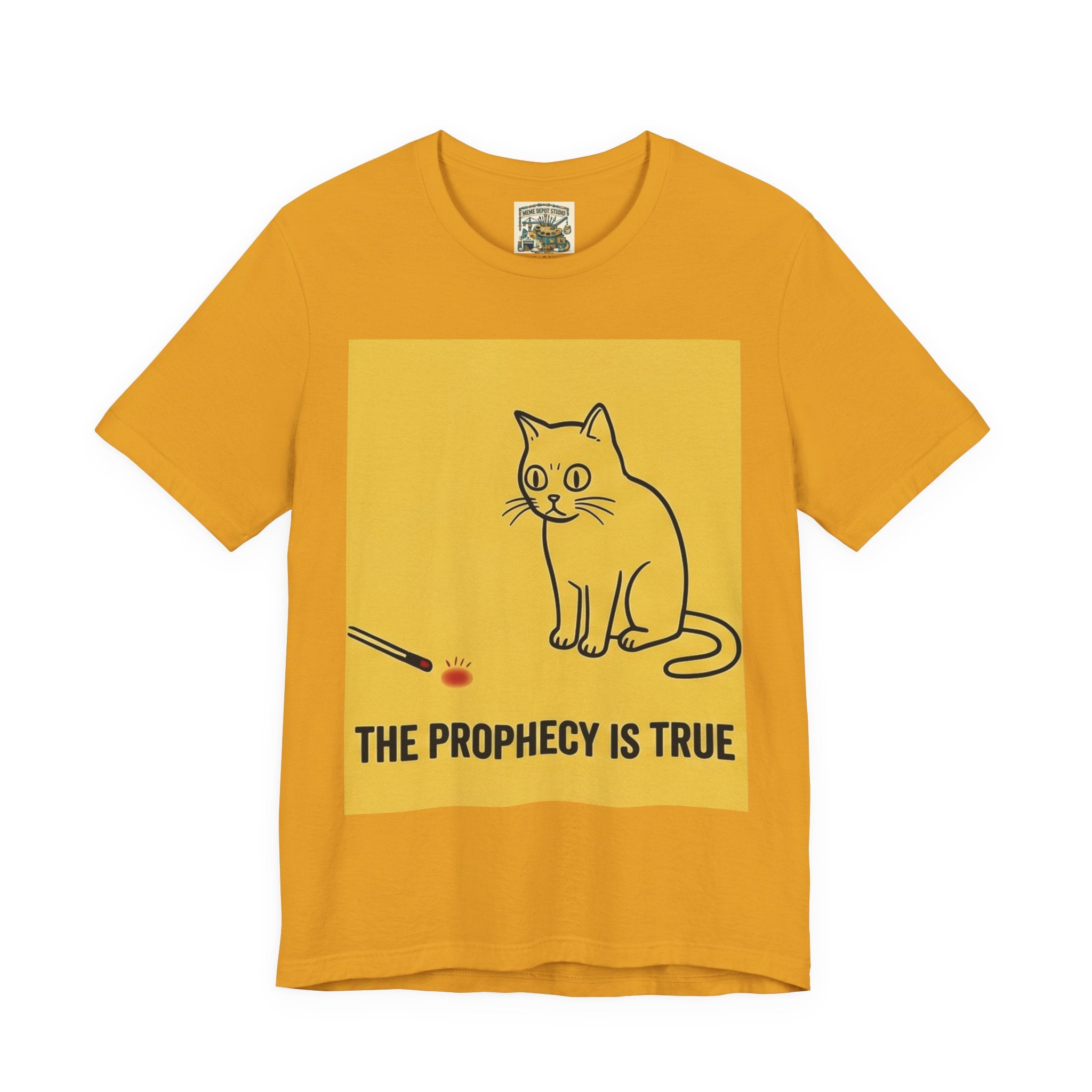 Funny Cat Quote T-Shirt