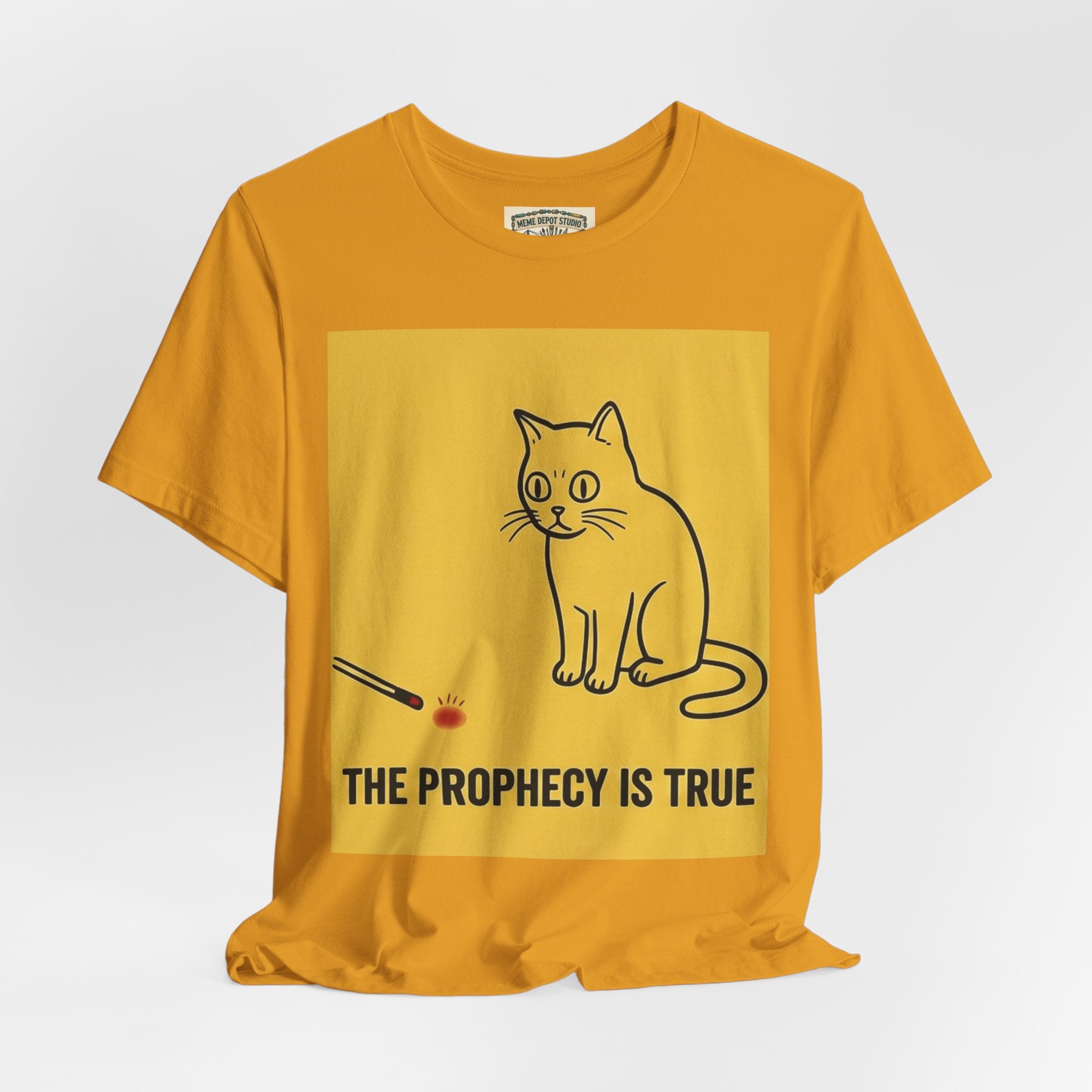 Funny Cat Quote T-Shirt