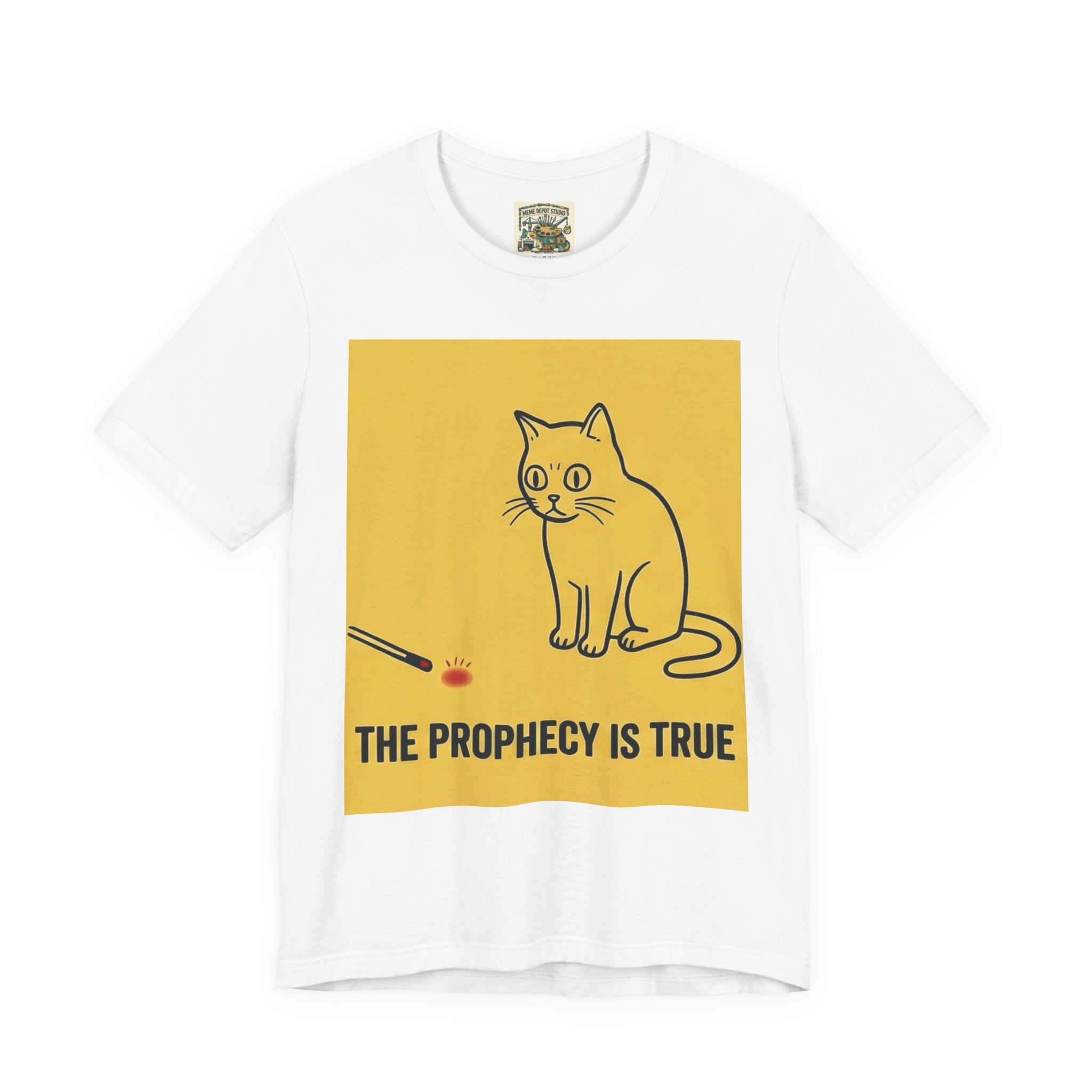 Funny Cat Quote T-Shirt