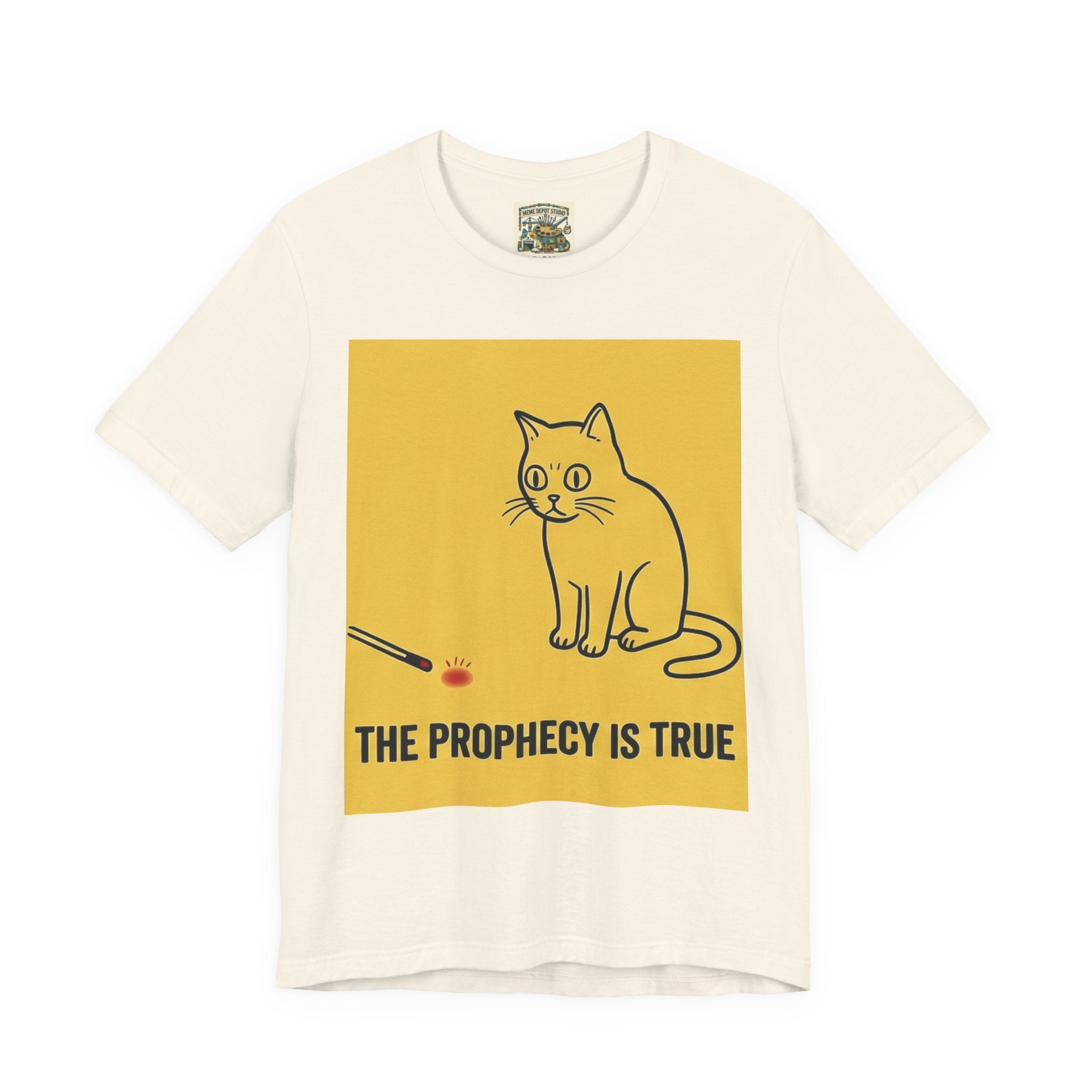 Funny Cat Quote T-Shirt